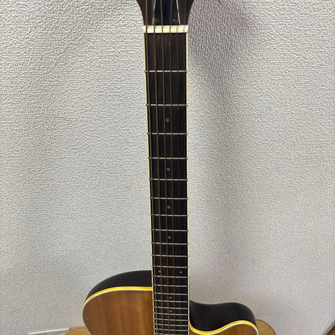 Morris エレアコ　トルネード　Tornado TZJ