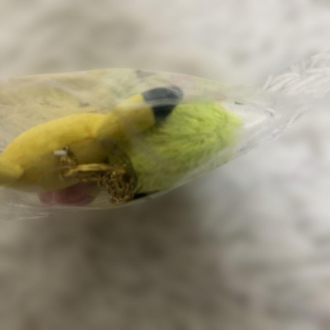 ポケモン　イッツデモ　シェイミ　ピカチュウ　マスコット　ぬいぐるみ