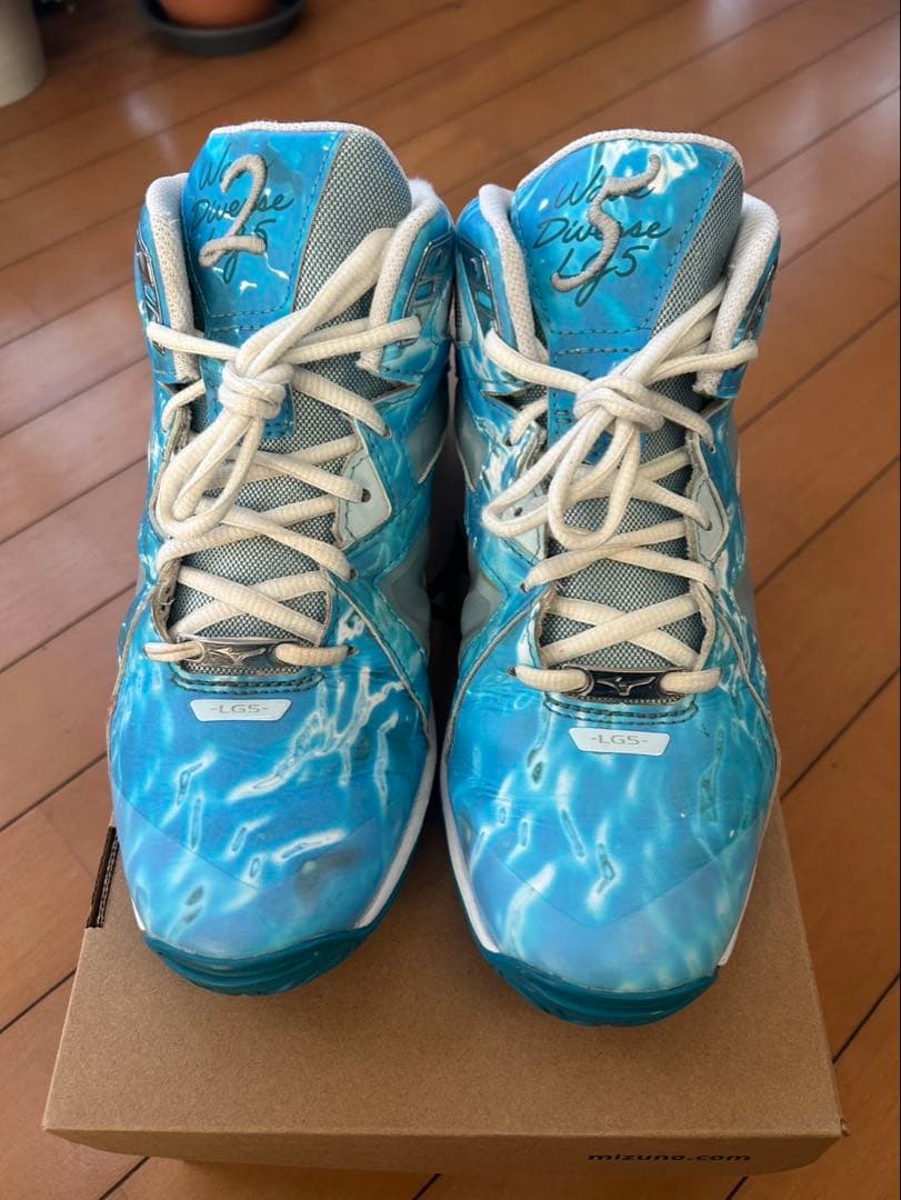 ミズノウエーブダイバースMIZUNO WAVE DIVERSE LG4 25th