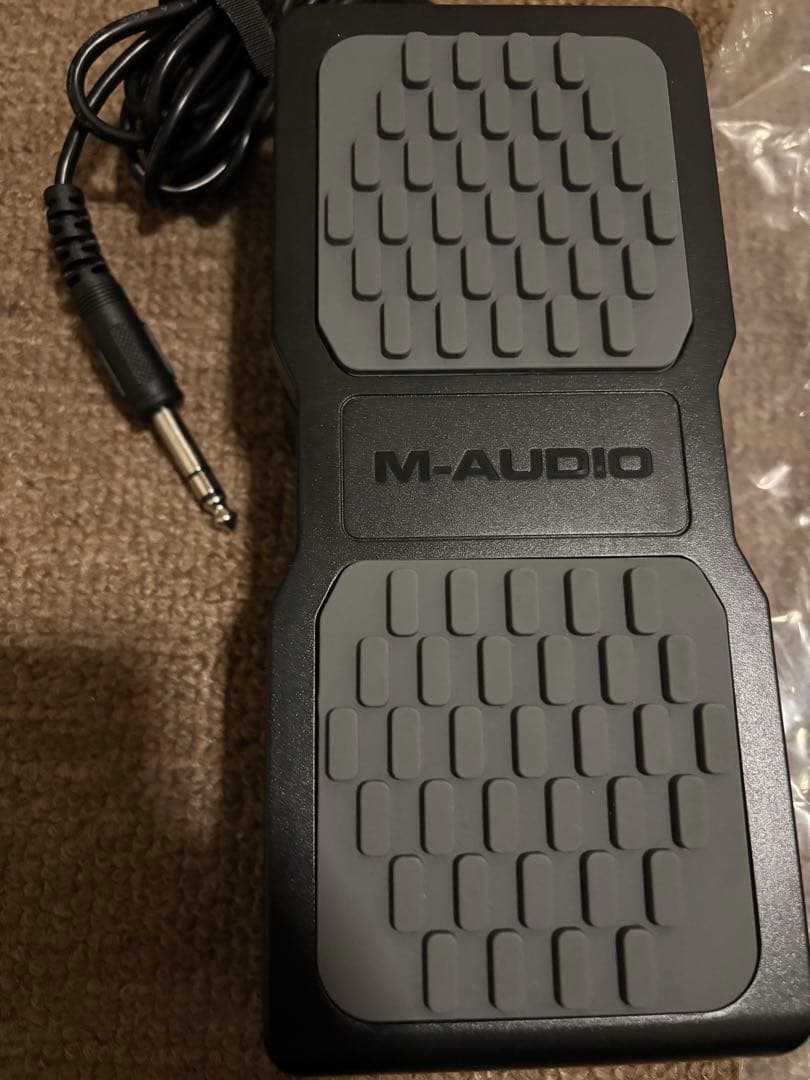 gt1000core (IR2つ付き) & オヤイデ ケーブル & expペダル