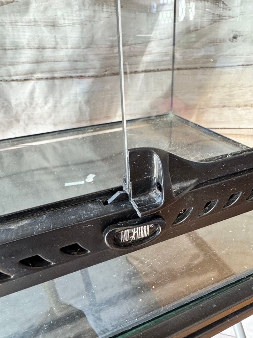 （最終価格）GEX エキゾテラ グラステラリウム 6030 ＋ コンパクトトップ