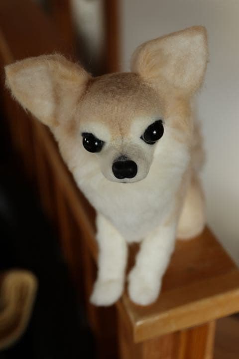 羊毛フェルト　ロングコートチワワ