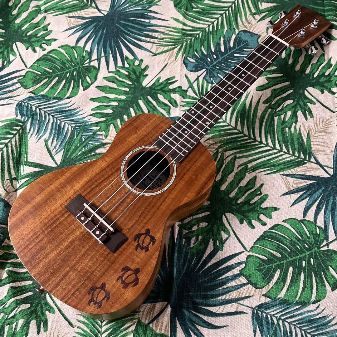 【アカシア材】Longteamのホヌ模様・コンサートウクレレ【ウクレレ専門店】