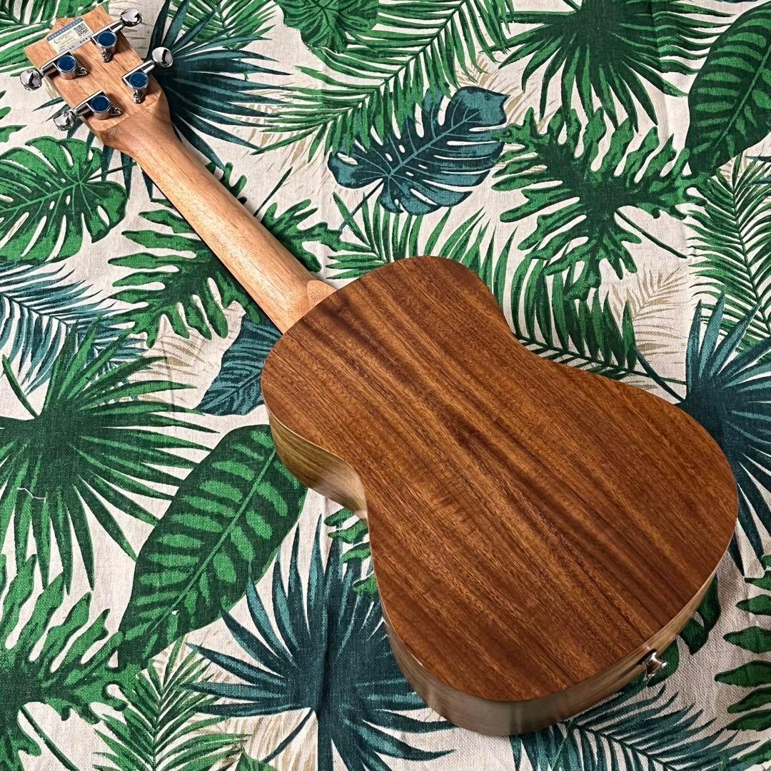 【アカシア材】Longteamのホヌ模様・コンサートウクレレ【ウクレレ専門店】
