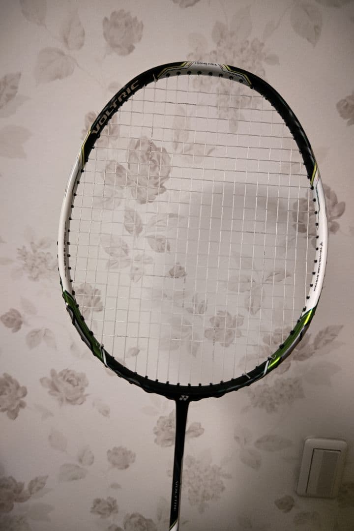 ひ*ま様 Voltric zフォース