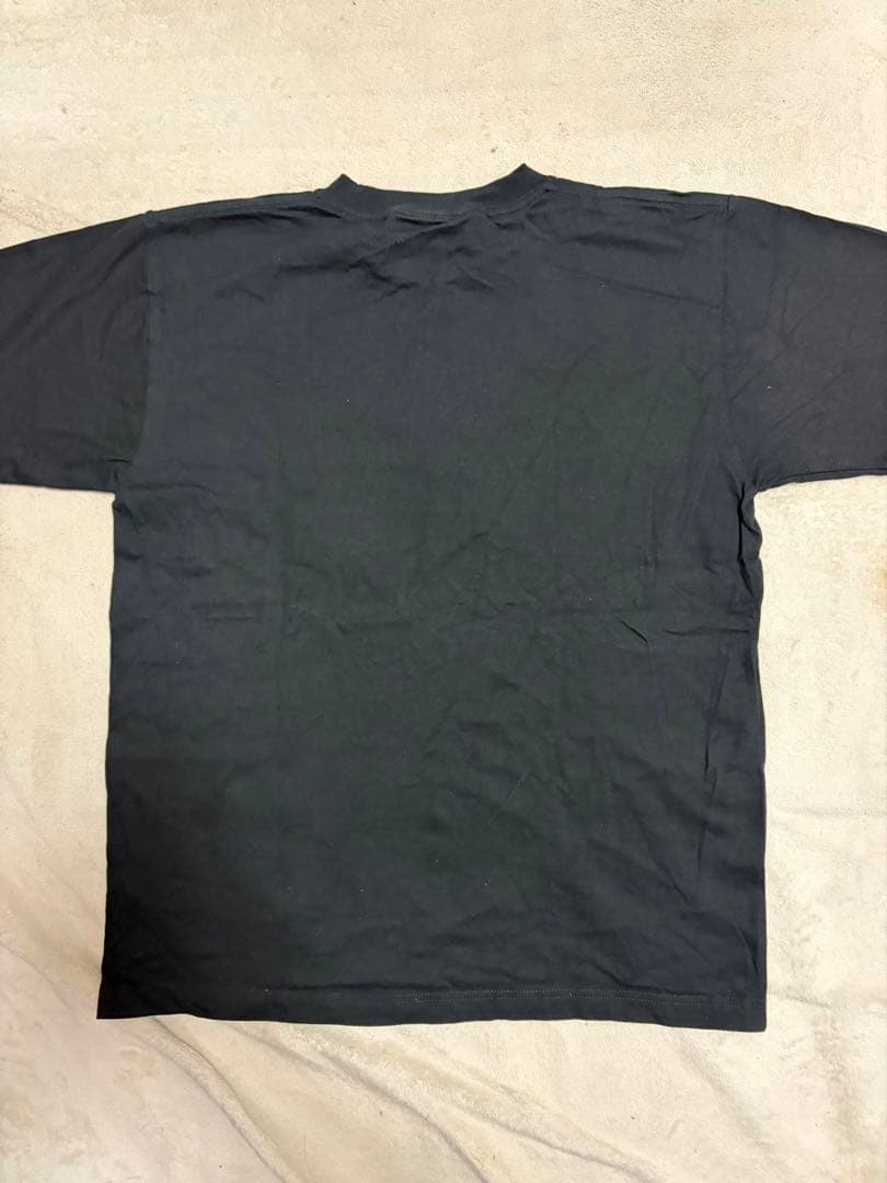 Cyndi Lauper（シンディ・ローパー）ライブグッズTシャツ 2011年