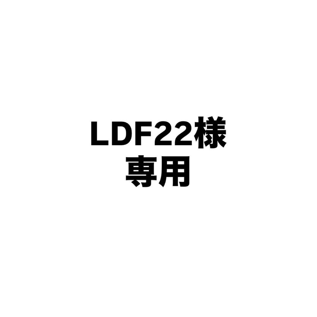 LDF22ページ
