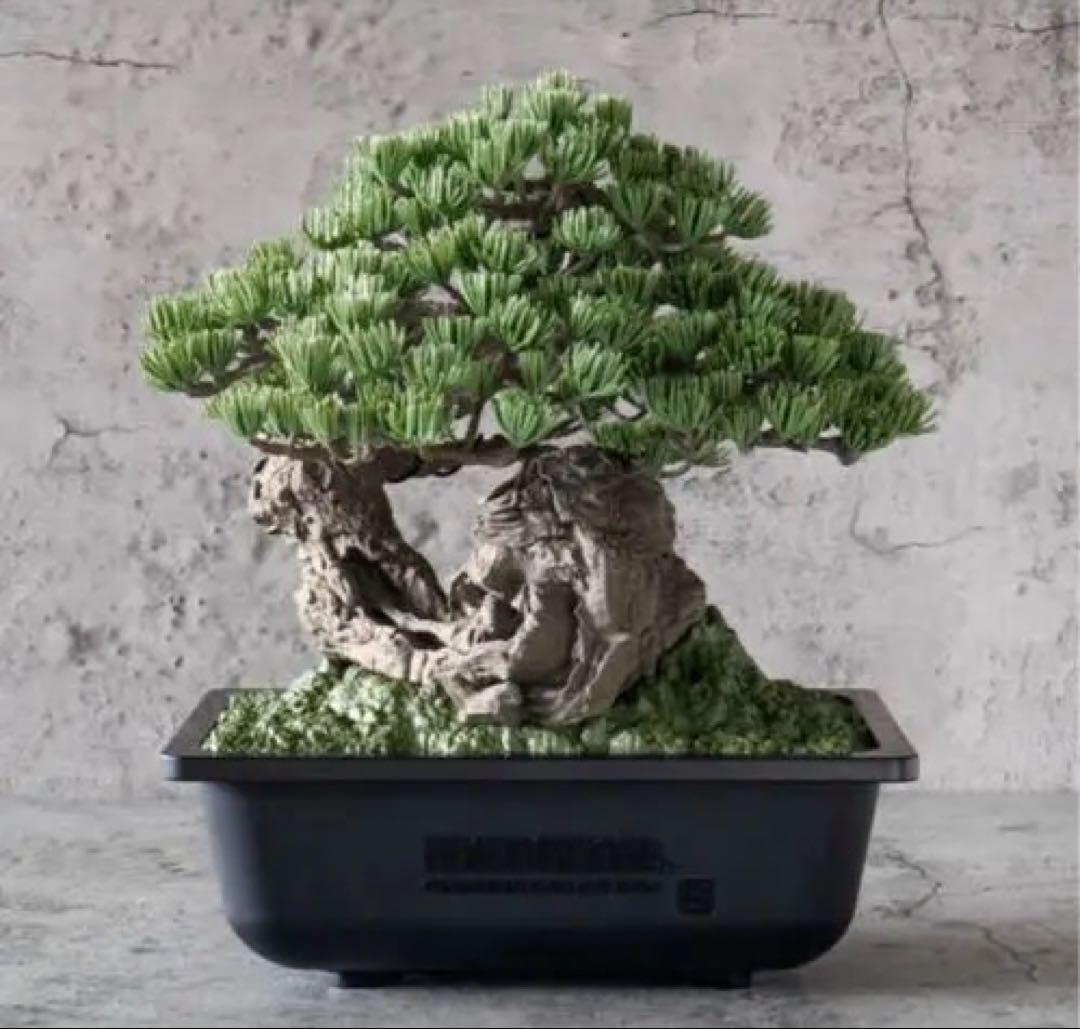 その他 NEIGHBORHOOD X BANDAI BONSAI MODEL KIT