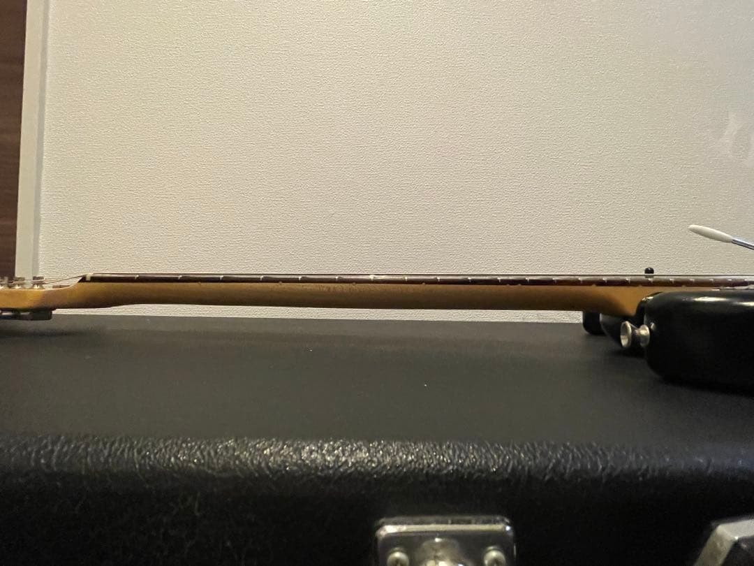 【一点物】T.S factory 151A-MO Ash エレキギター