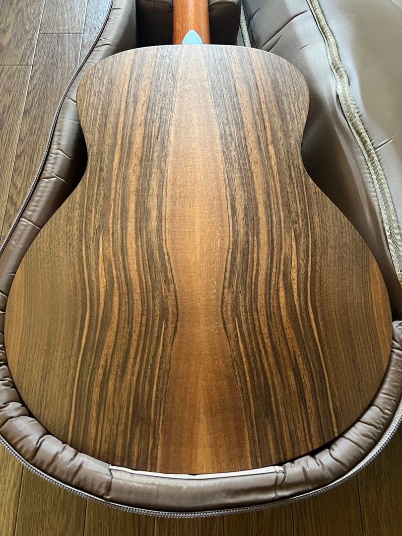 Taylor Guitars ( テイラーギター ) GS Mini-e