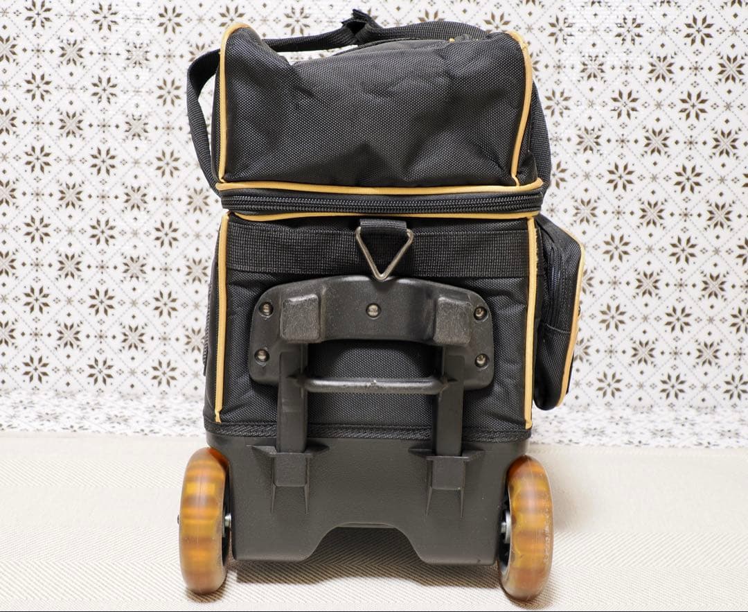 ABS Pro-am ボール2個キャリーバッグ