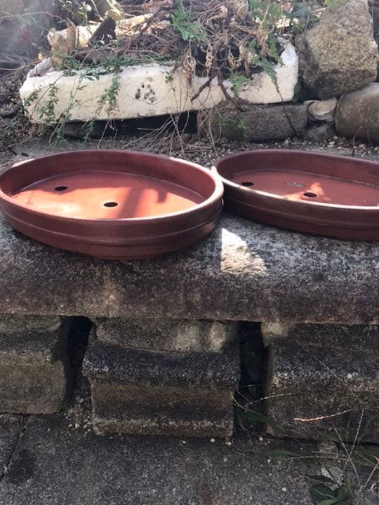 盆栽鉢　時代落款万一紅泥朱泥梨皮楕円胴帯盆栽鉢大小2点セット山野草寄せ植え植木鉢