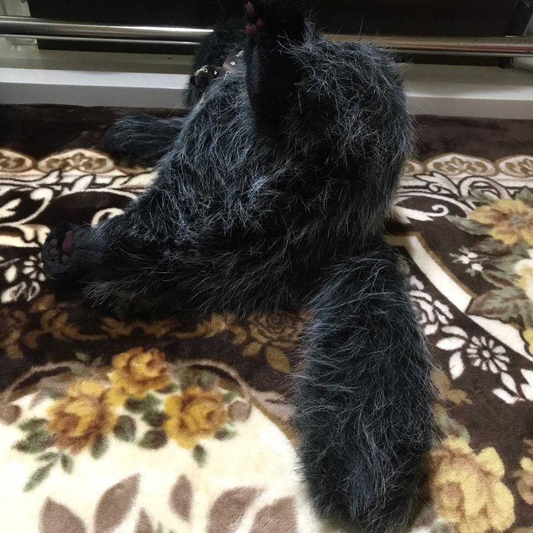 ココです❗️Cudolly カドリー　販売終了品　希少　入手困難❣️