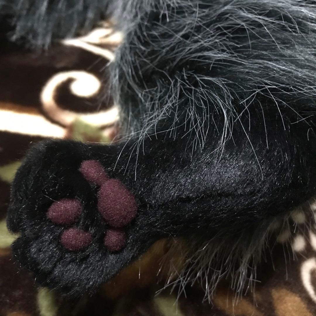 ココです❗️Cudolly カドリー　販売終了品　希少　入手困難❣️