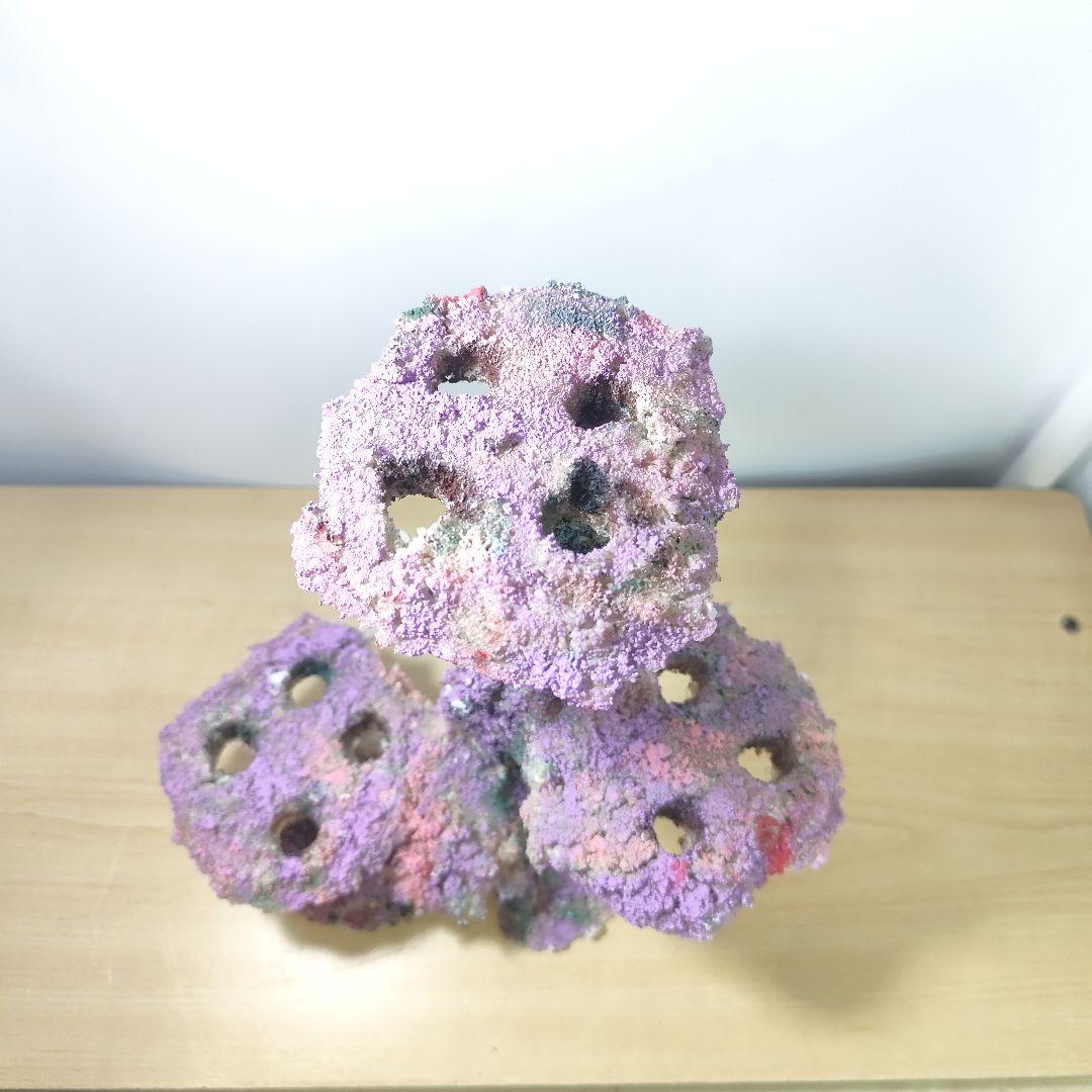 プラグ穴付き アク抜き不要人工ライブロック 海水水槽 レプリカ コーラルフラグ1