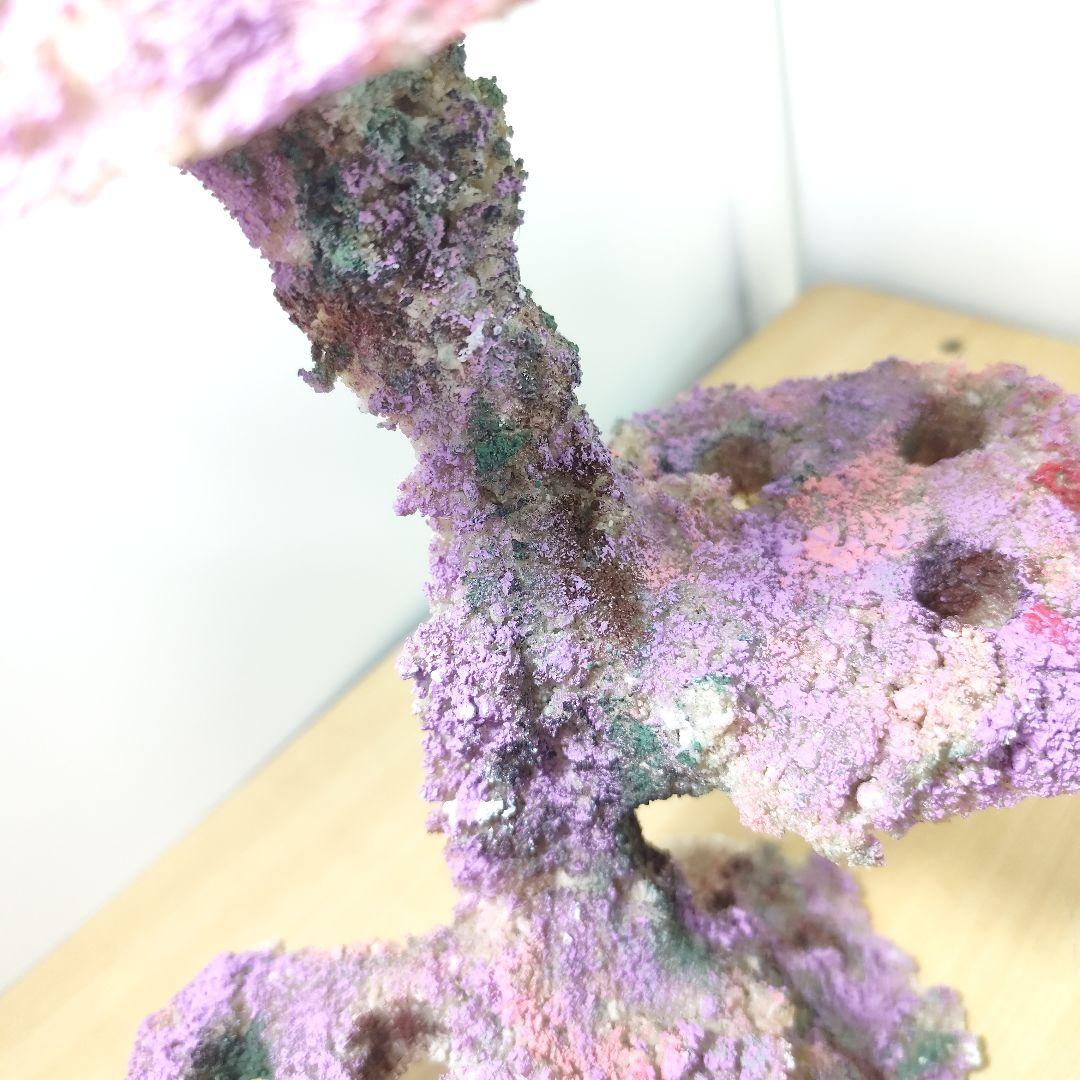 プラグ穴付き アク抜き不要人工ライブロック 海水水槽 レプリカ コーラルフラグ1