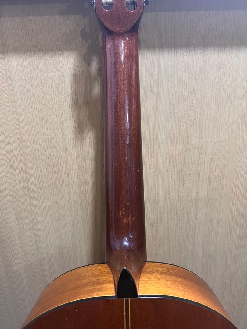 ZEN-ON GUITAR ZG-250 全音ギター クラシックギター