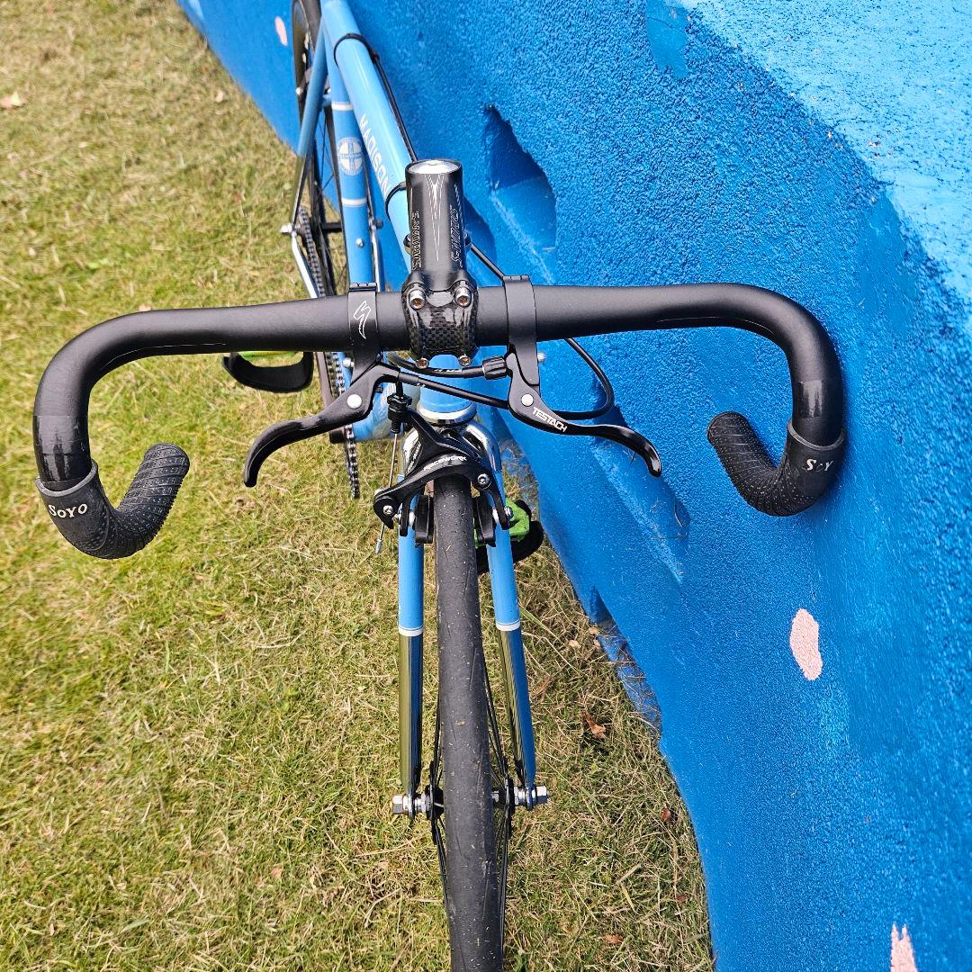 schwinn シュウィン マディソン ピスト　フリー　シングル　メッキ