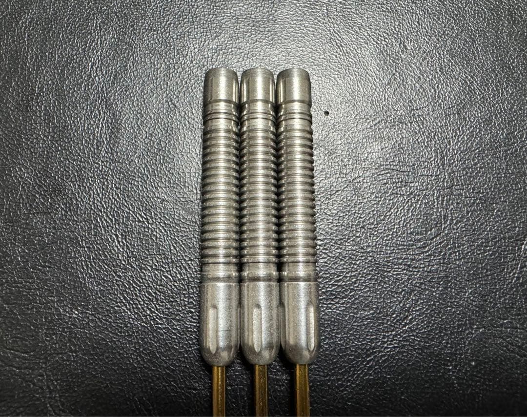 ディーエムシー アナスタシアSP アナスタシア・ドブロミスロワモデル スティール