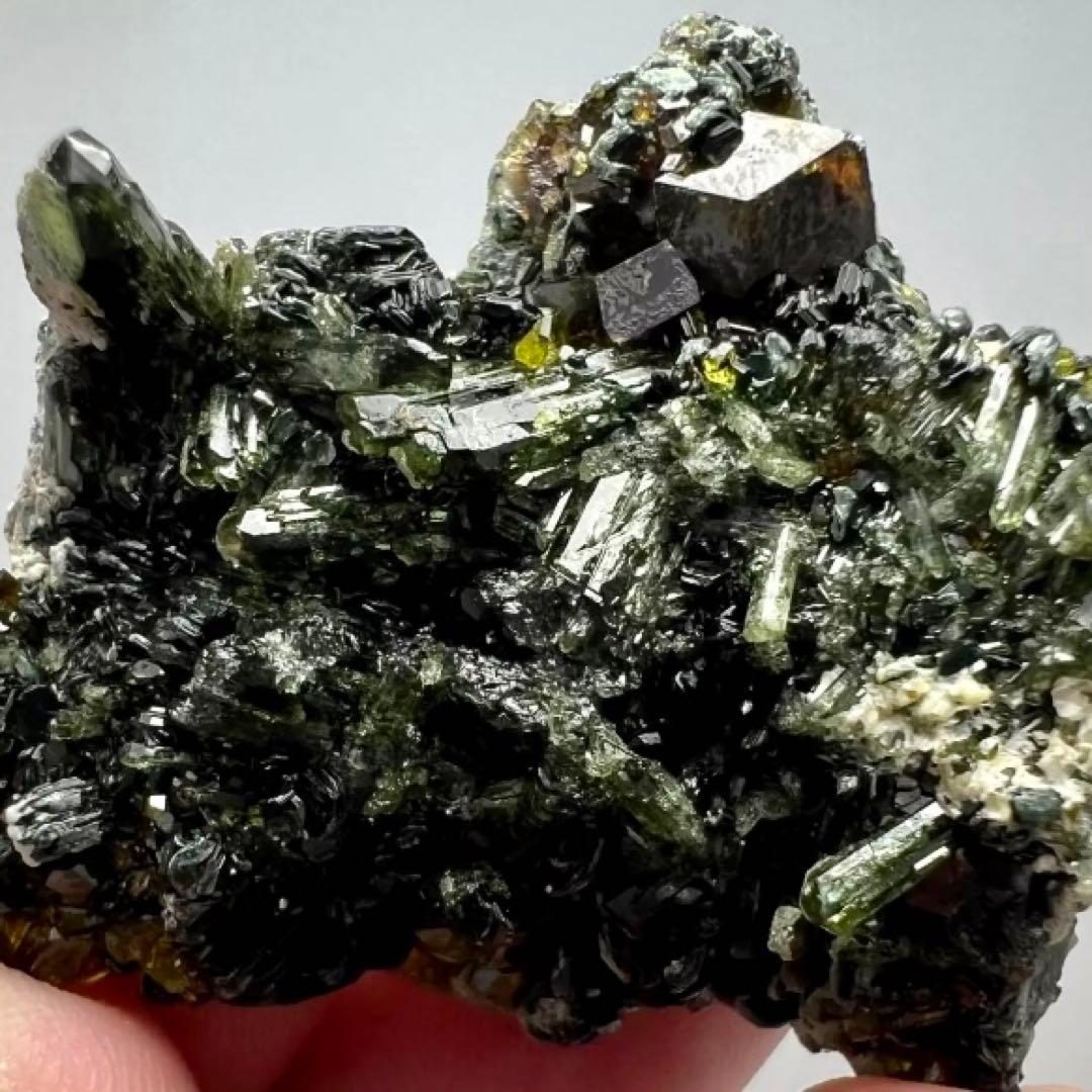 超珍品！アンドラダイトガーネット×ベスビアナイト×ダイオプサイト共生結晶標本