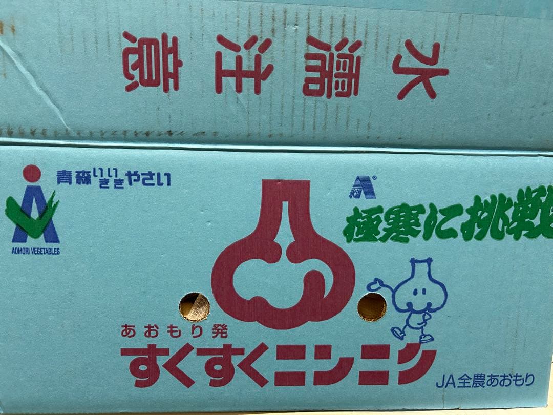 青森産　にんにく　C品Lサイズ　 10キロ　JA全農あおもり