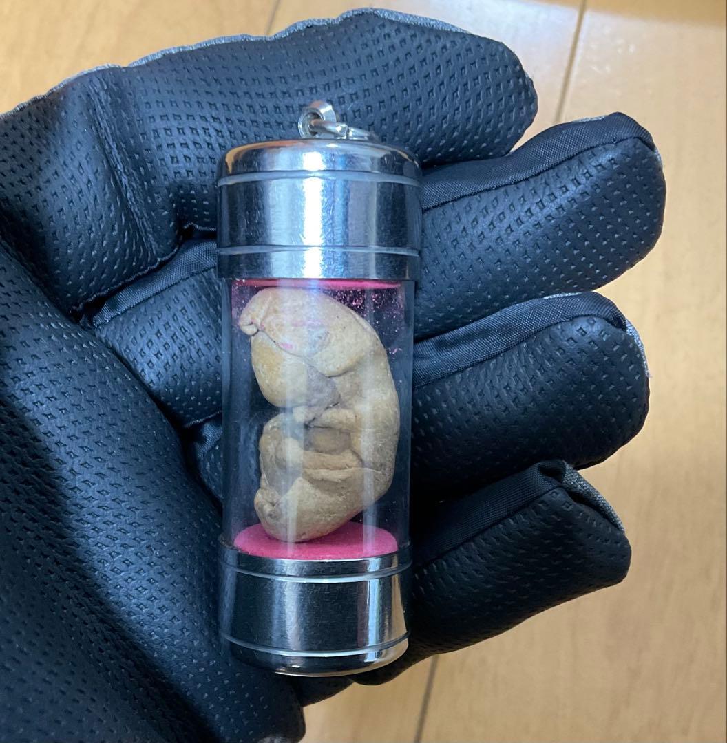 ◾️プラクルアン　お守り　胎児お守り◾️