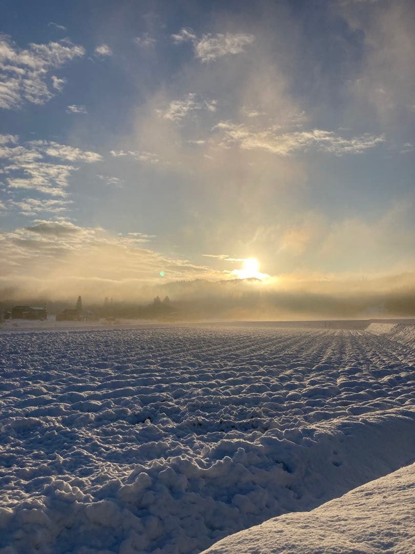 7年魚沼産コシヒカリ精米所10kg