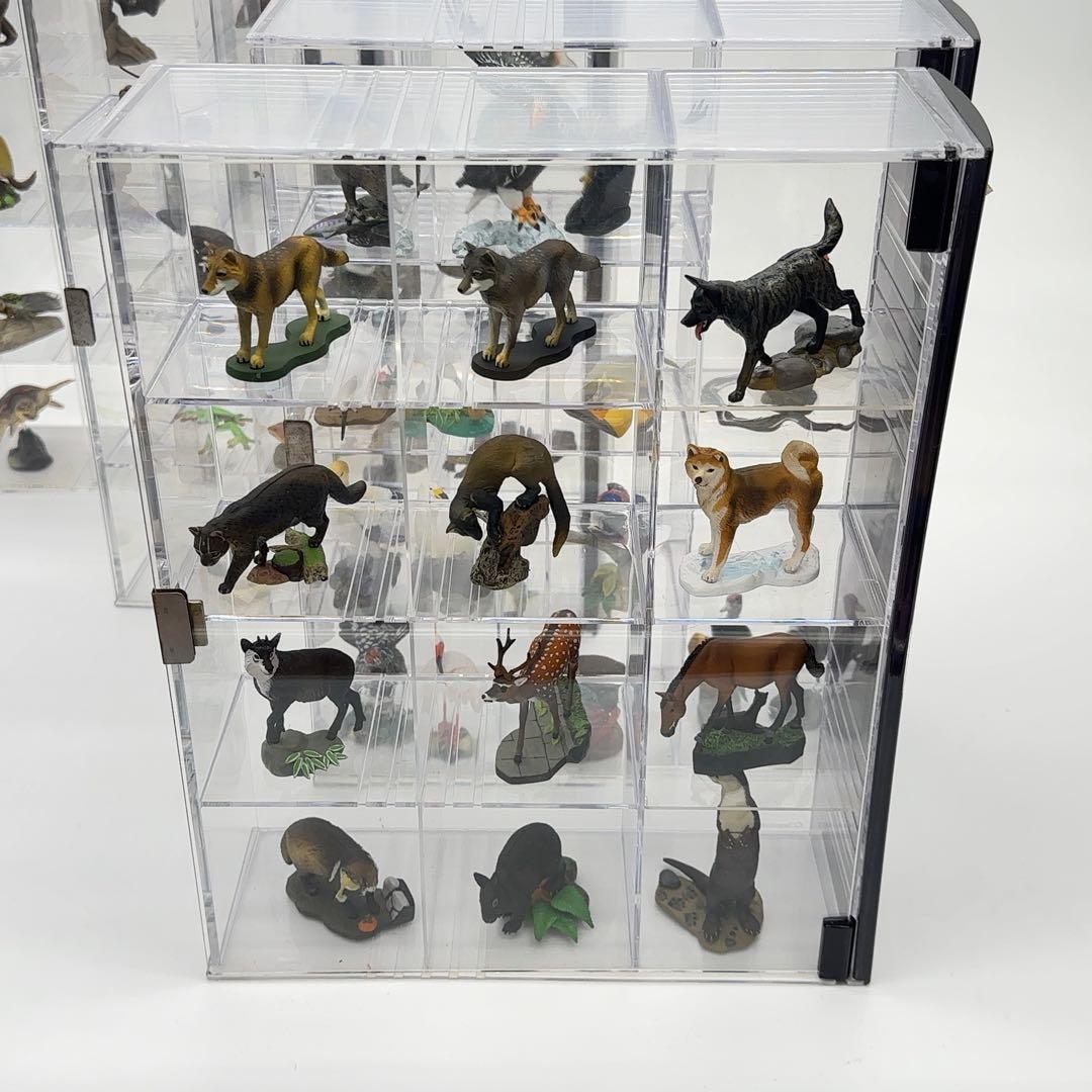 希少品 小学館 週刊 日本の天然記念物 52体セット まとめ売り