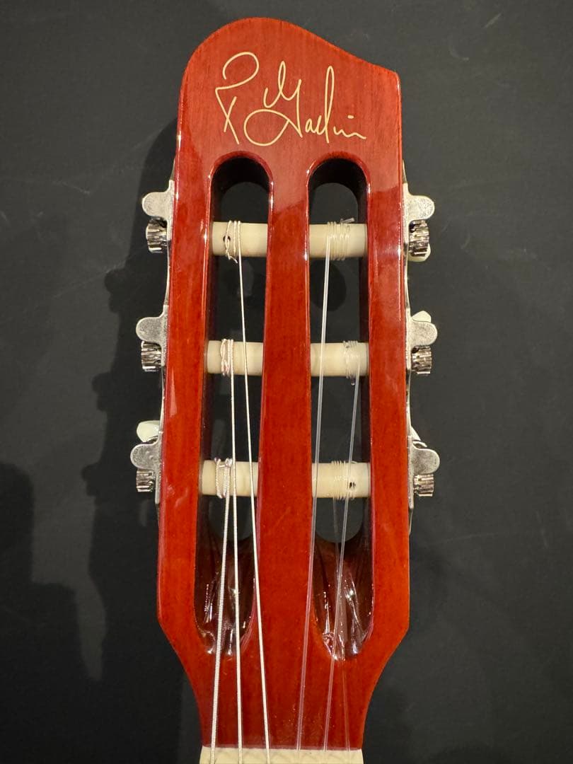 ギター Multiac Nylon ACS Slim SA