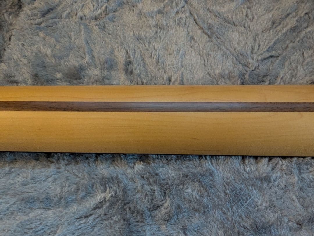 ギター American Professional2 Stratocaster