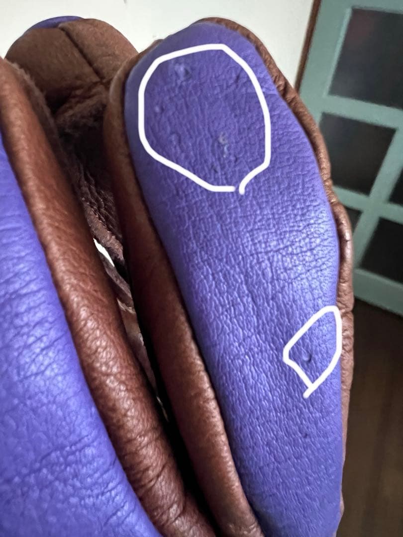 Hestra Omni GTX Fullleather グローブ 7 SM