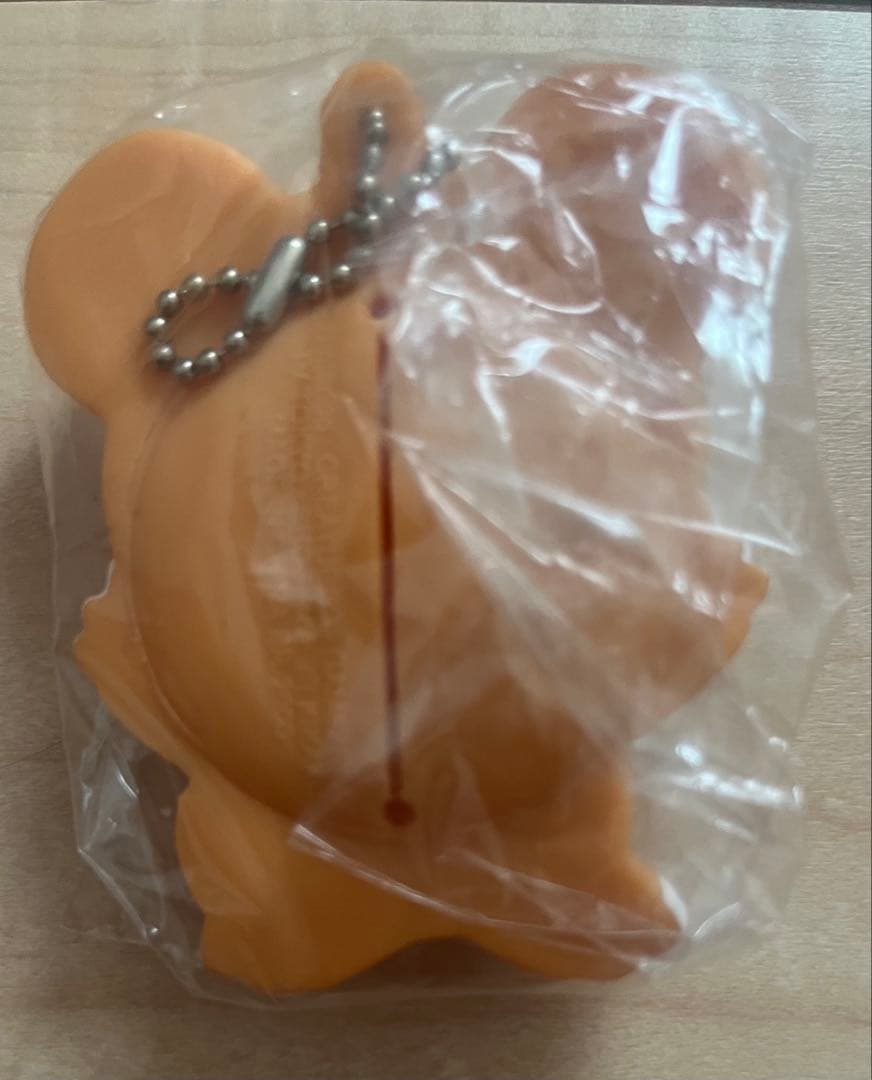 【珍品】ポケモンソフトケースを４種・４体セットで出品します。