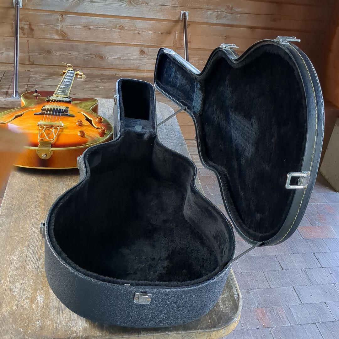 Epiphone joepass モデルフルアコースティックギター ケース付