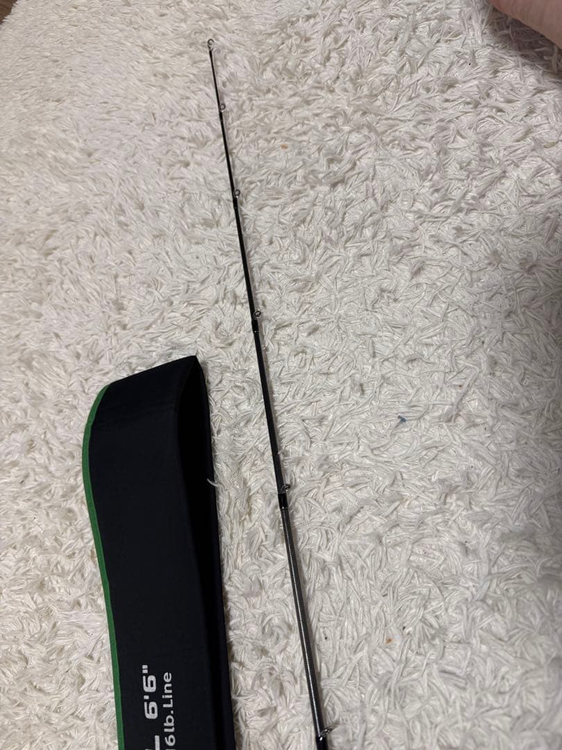 エバーグリーン ファクト FACT 66ML