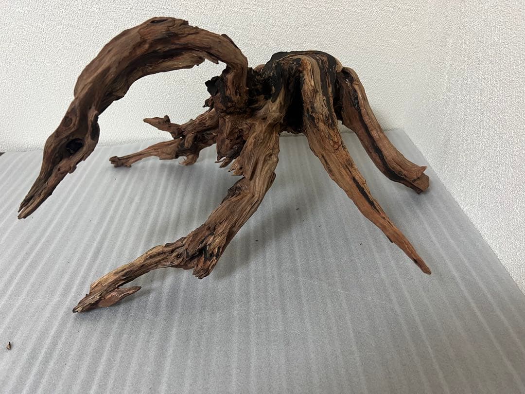 HX-079 流木　ホーンウッド　マシンガンウッド　アクアリウム　ブランチウッド