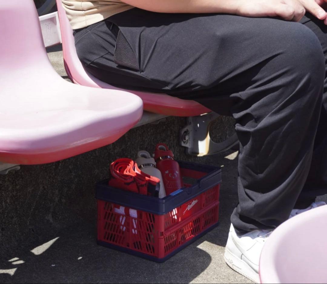 鹿島アントラーズ　折りたたみコンテナ（小）