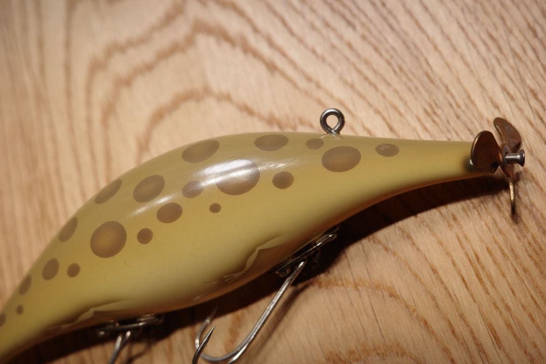 ローカル　どじょう