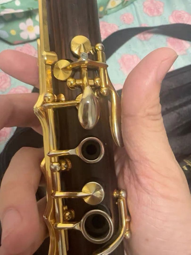 バックーンProtégé Bbクラリネット