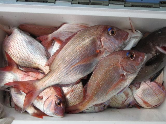 爆釣トリオ 100g 計3個 タイラバ タングステン