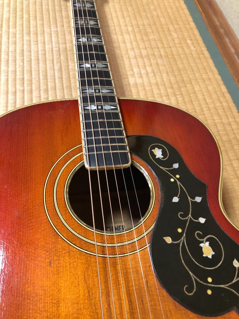 激レア 希少 カールヘフナー　496　アコギ ヴィンテージ