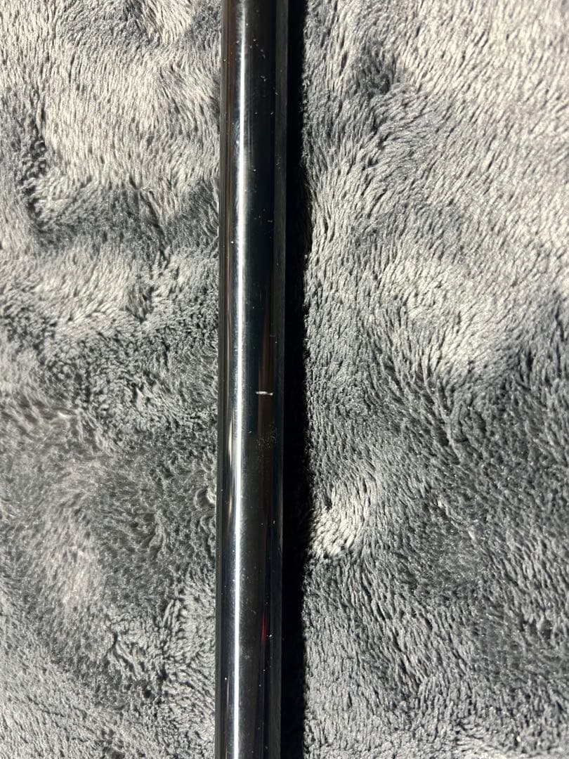 トランスセンデンス　レイトブルーミングス　延長セクション　#4