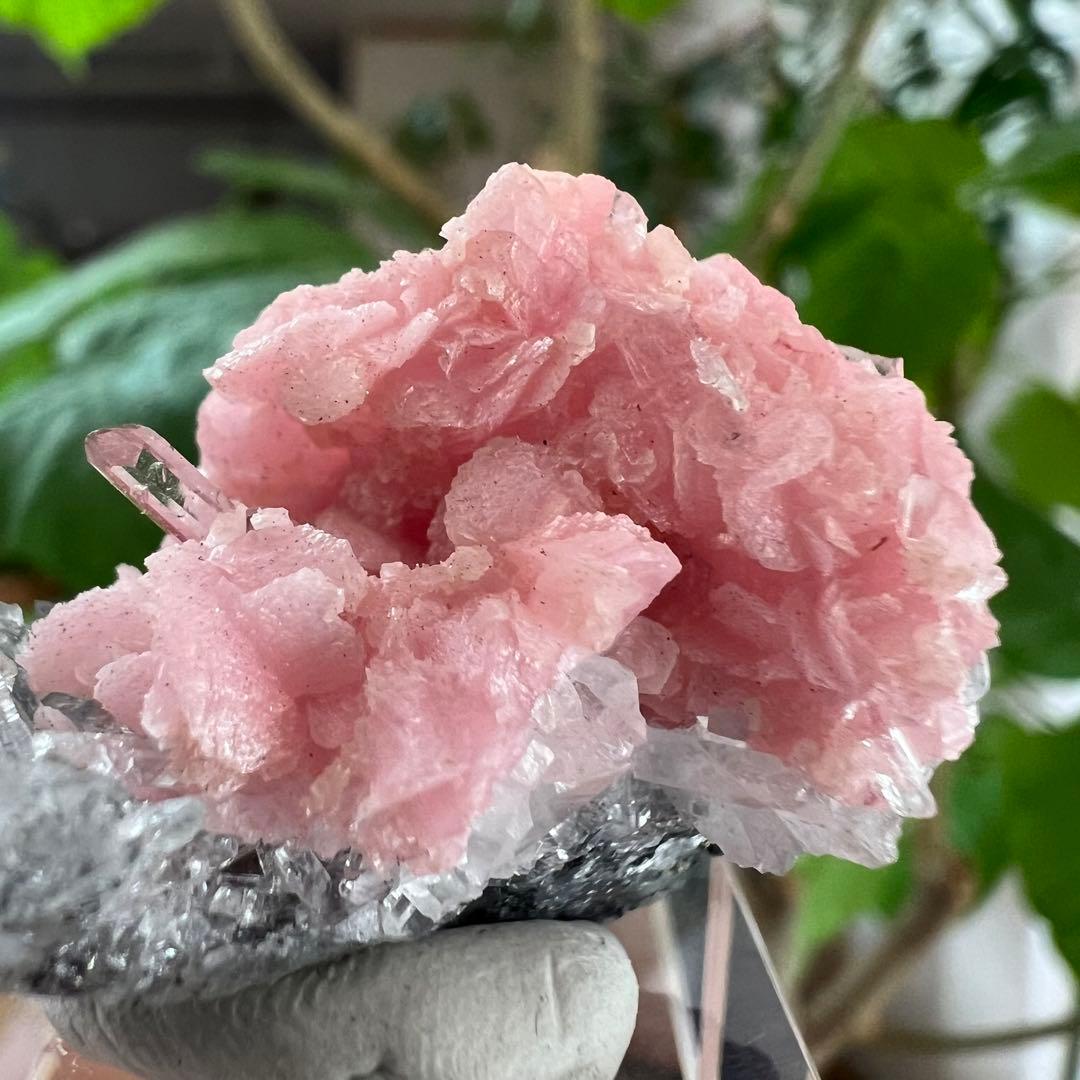 中国　広西チワン族自治区産　クォーツクラスター共生ロードクロサイト