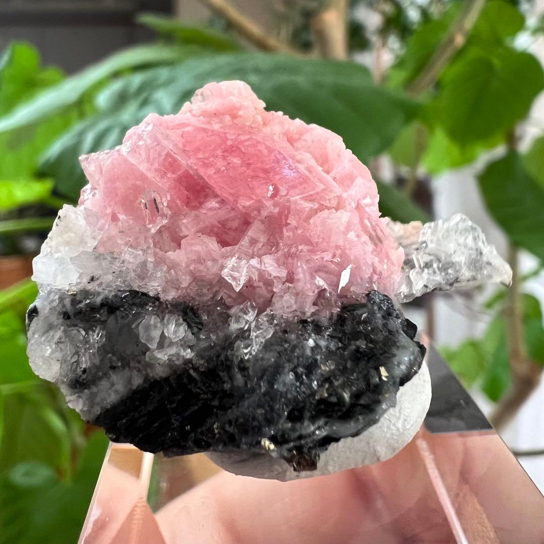 中国　広西チワン族自治区産　クォーツクラスター共生ロードクロサイト