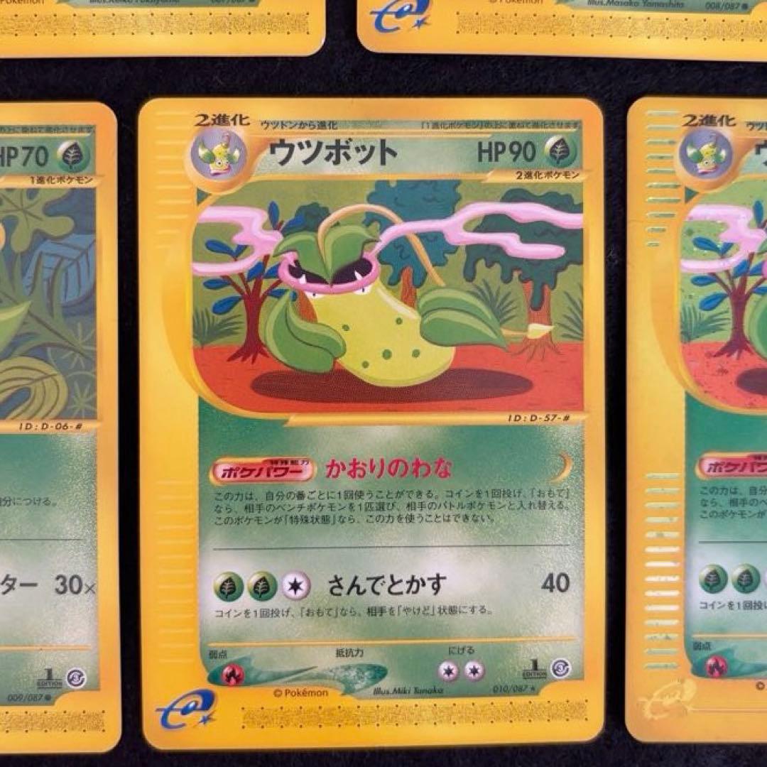 R*様 #ゆんの気まぐれオークション　（竹）　5枚　　マダツボミ　ウツドン　ウツ