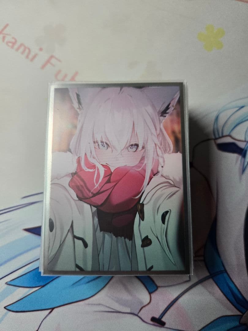 ラッカゾージア