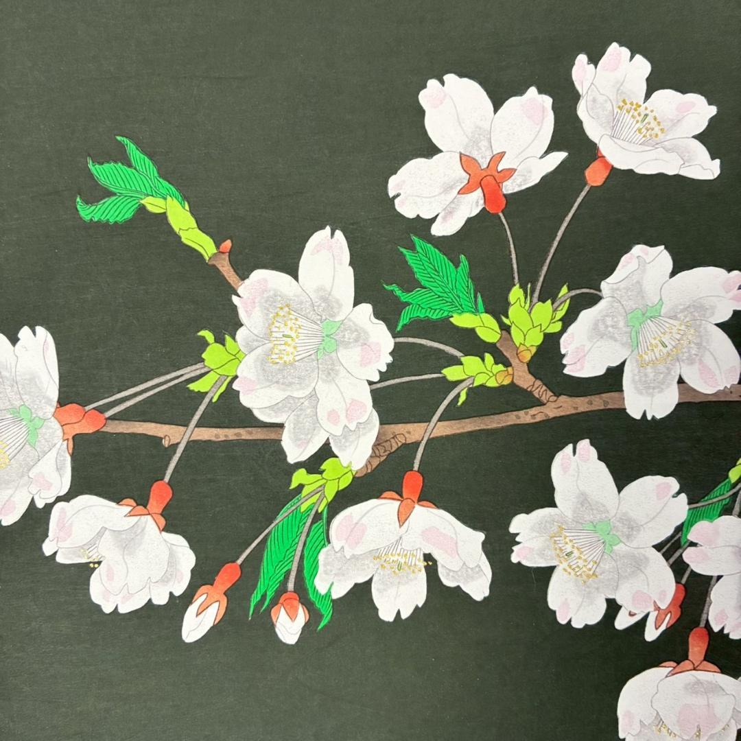 美品 中島千波「櫻花(1)」木版画 直筆サイン・朱印有 アダチ版画研究所 桜