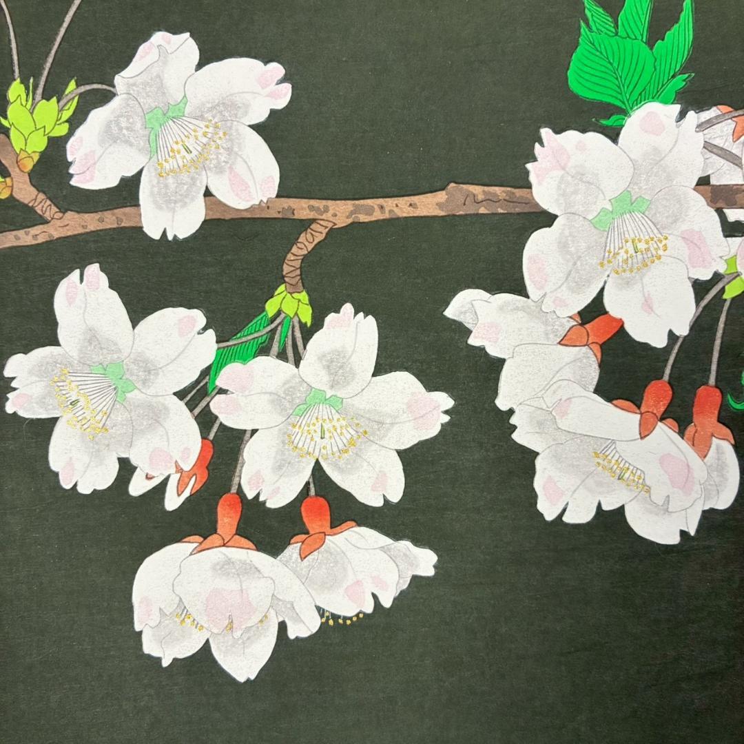 美品 中島千波「櫻花(1)」木版画 直筆サイン・朱印有 アダチ版画研究所 桜