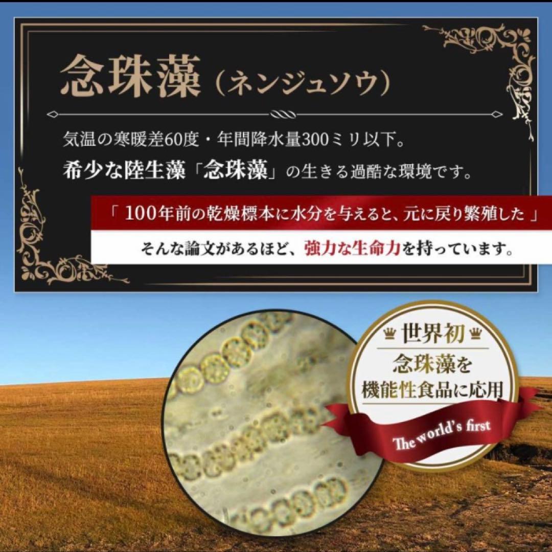 【期間限定特別価格】マイクロアルジェ・阿拉善 【未開封1箱】