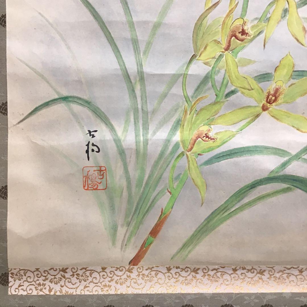 K茶道具　掛軸　「洋蘭の図」　古楊作　共箱　S1007KJ