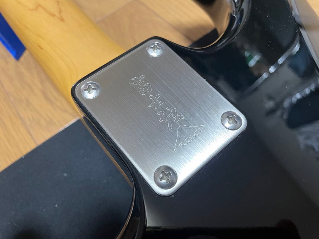 fujigen（FGN） SNST101-BK 【限定生産品】